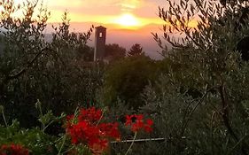 La casetta di campagna