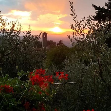 La casetta di campagna Pomino Esterno foto