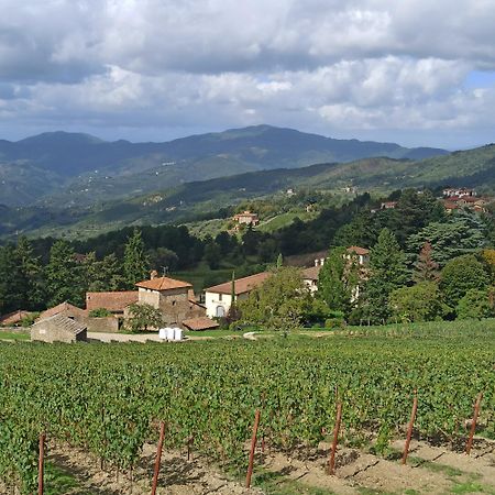 La casetta di campagna Pomino Esterno foto