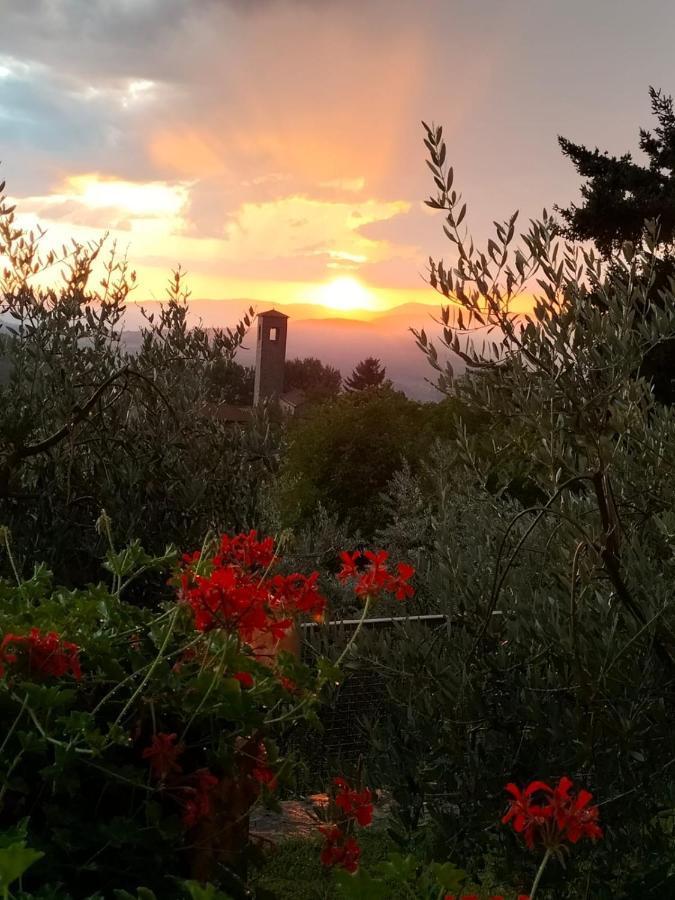 La casetta di campagna Pomino Esterno foto