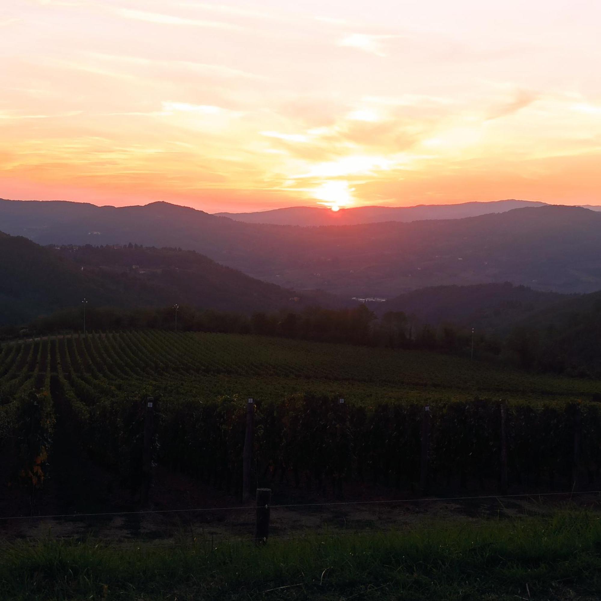 La casetta di campagna Pomino Esterno foto