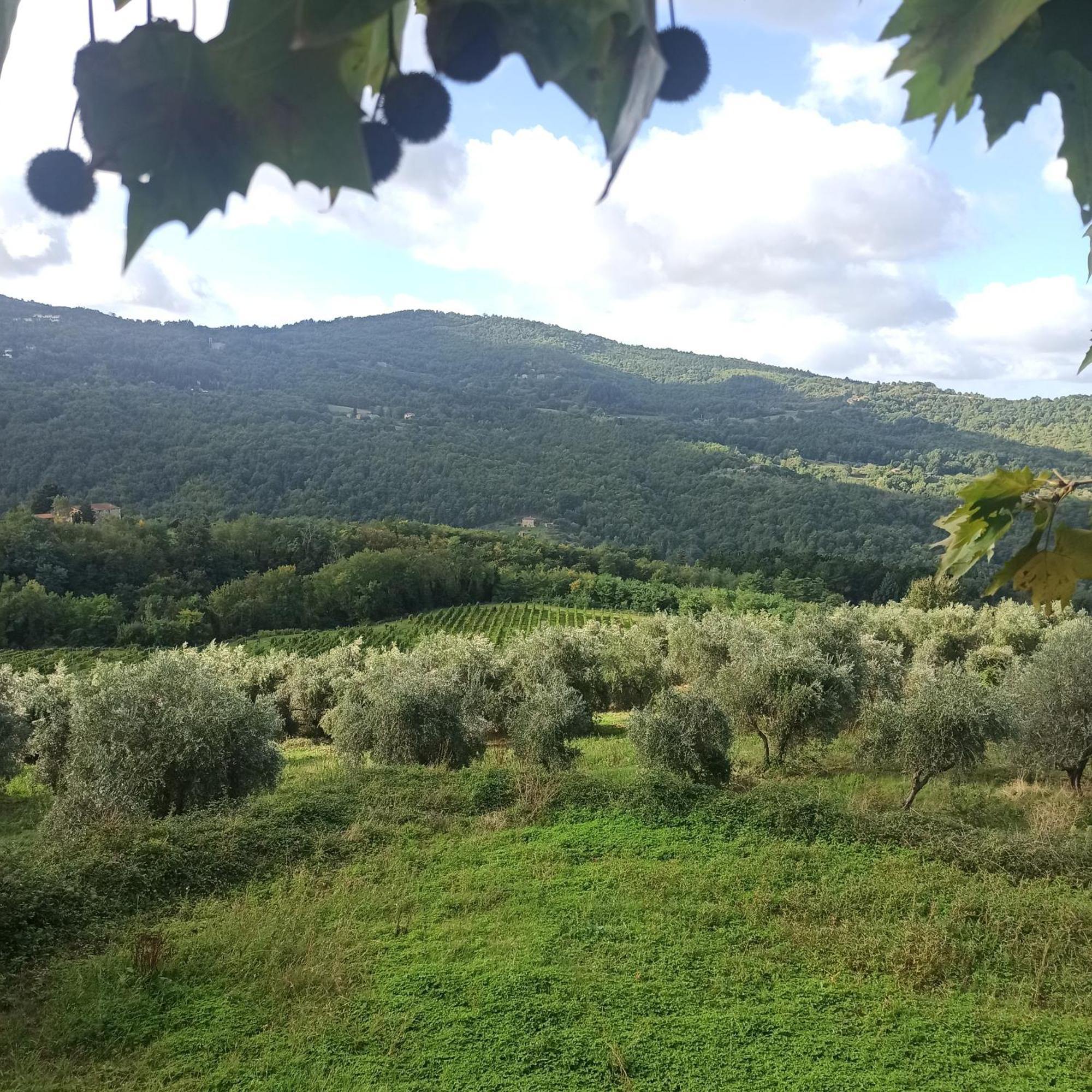 La casetta di campagna Pomino Esterno foto