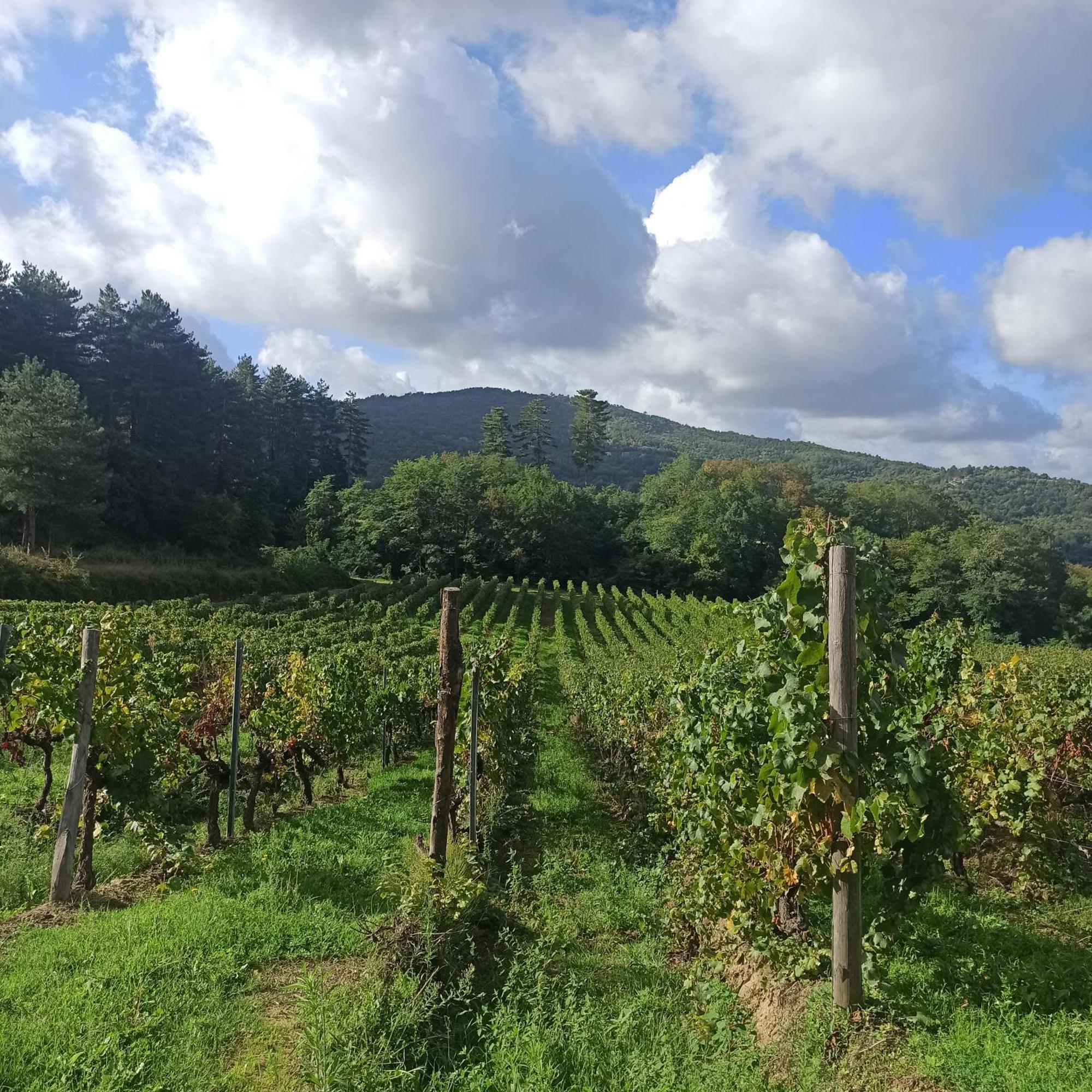 La casetta di campagna Pomino Esterno foto